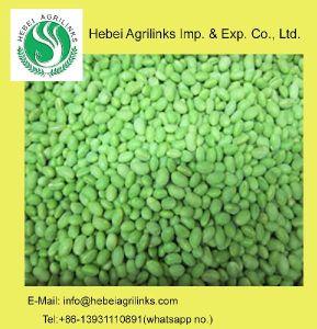 Frozen Soy Bean Kernel
