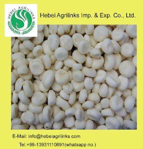 Frozen Water Chestnut Kernel