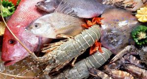 Frozen Seafood,  Shelf Life : 18–24 months