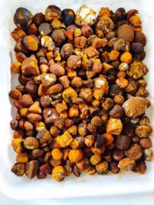 Ox Gallstones
