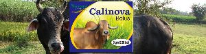 Calinova