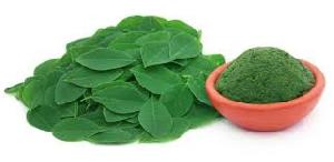 moringa powder