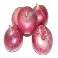 red onion