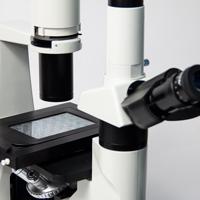 live cell imaging system