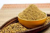 coriander powder