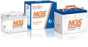 NGS Dry Charged Batteries