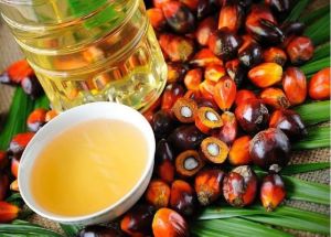 crude palm oil,  Packaging Size : 1 Litre, 5 Litre, 2L, 5L, 1litres