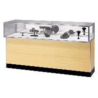 Jewelry Vision Display Case