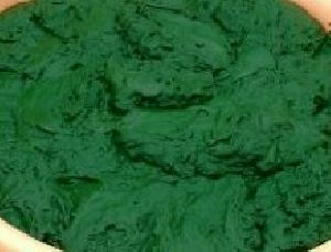 Spirulina wet