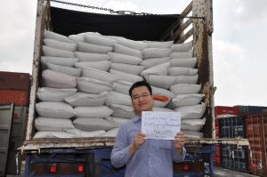 tamarind seed, Packaging Type : 50kg/pp bag, Form : thailand