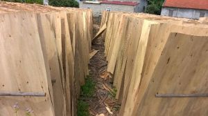 2 Mm Eucalyptus Core Veneer