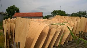 2 Mm Eucalyptus Core Veneer