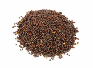 mustard seeds