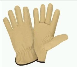 Hand Gloves & Mittens