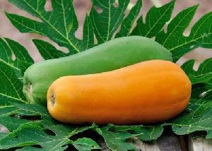 fresh papaya