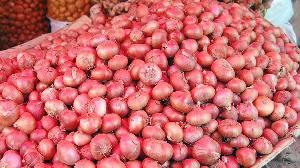 fresh red onion