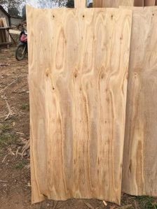 Eucalyptus Core Veneer