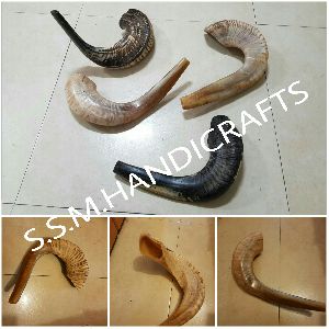 Sheep Horn Shofar