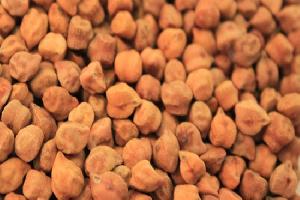 Black Chickpeas