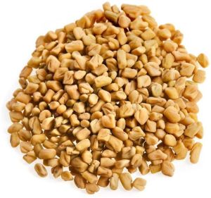 Fenugreek Seeds