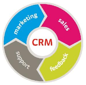 dynamic crm services