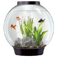 fish aquariums