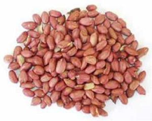 African Groundnuts