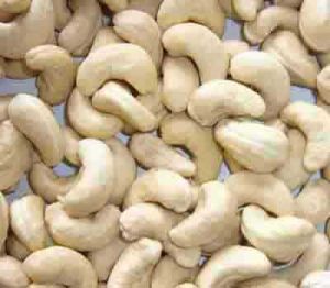 cashew kernels