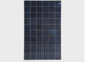 Eldora Ultima Silver Solar PV Module by Vikram Solar