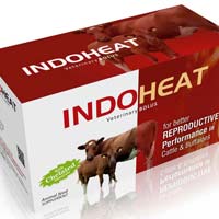 Indo Heat Veterinary Bolus
