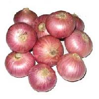 fresh red onion