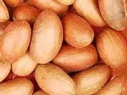 Bitter Kola Nuts