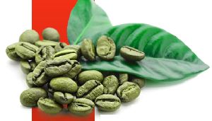 Garcinia cambogia weight loss statistics image 4