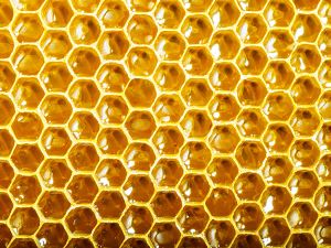 Beeswax