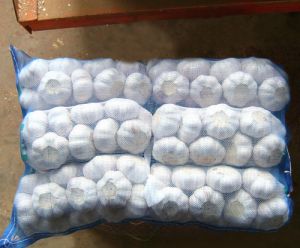 Garlic,  Note : Price Plus GST