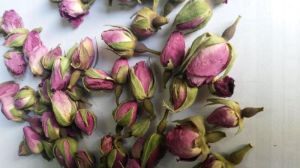 Artificial Plants & Flowers