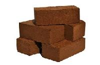 Coco Peat Briquette