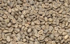 specialty green coffee beans