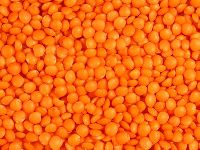 FOOTBALL RED LENTILS