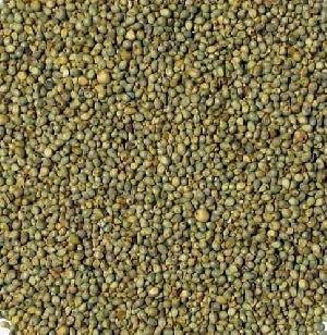 Millet Seeds(Bajra)