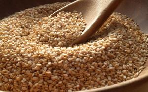 Sesame Seeds(Til)