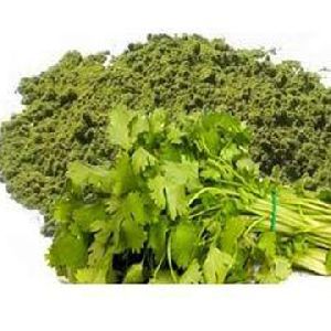 SPRAY DRIED CORIANDER POWDER