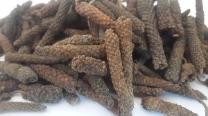 long pepper