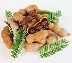 Tamarind Pods