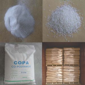 Copolyamide (COPA) Hot Melt Adhesive Powder For Interlining