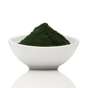 spirulina powder