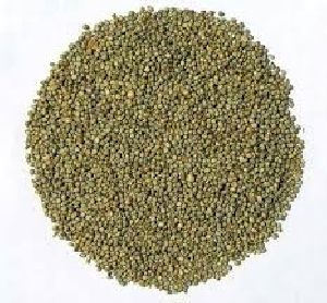 Millet Seeds