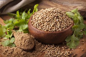 coriander powder