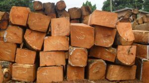 Kosso Square Logs