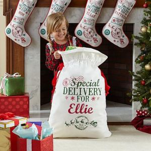 Santa Special Delivery Bag